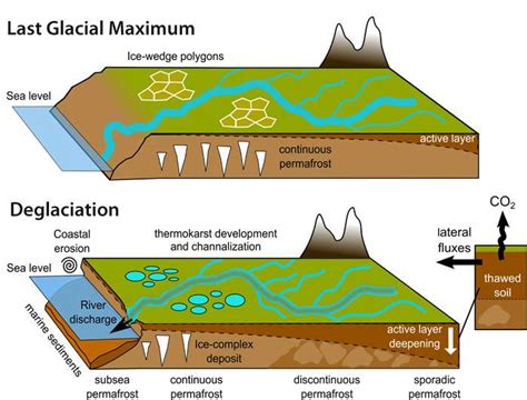 When permafrost melts, what happens to all that stored carbon?