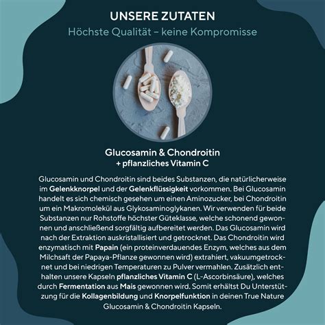 Glucosamin Chondroitin Hochdosiert 360 Kapseln 790 Mg TRUE NATURE