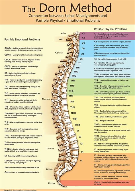 Dorn Spinal Therapy Calgary The Natural Flow To Health