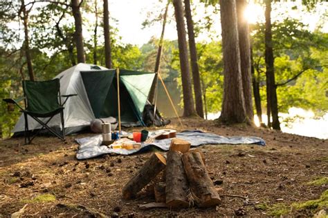 Pisgah National Forest Camping: 5 Fun Things to do & More