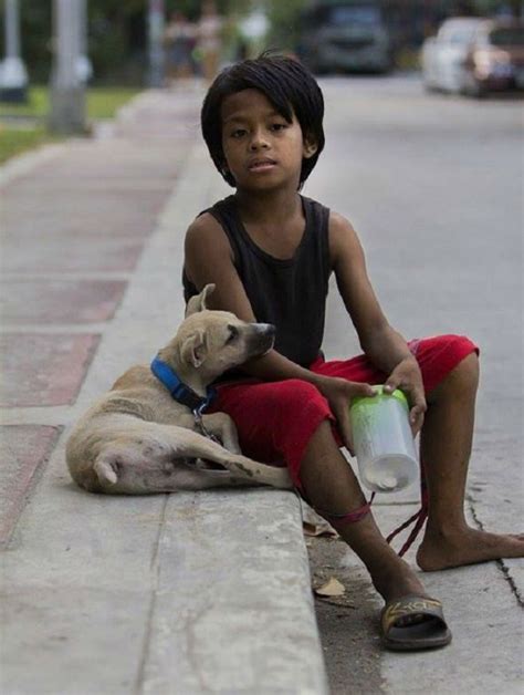 Le Chien Errant Et Le Gar On Abandonn Sont Devenus De Bons Amis Deux