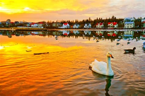 The Midnight Sun in Iceland - Where Is the Best Place to Watch It From? - Iceland Travel Adventures