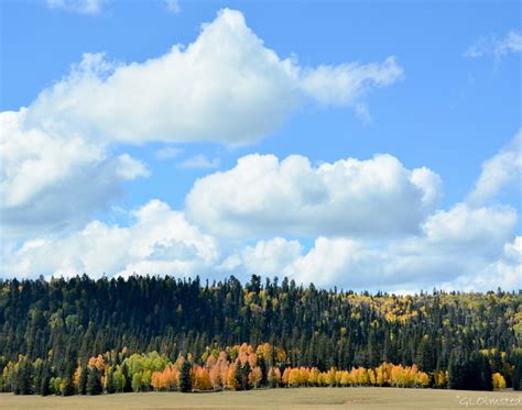 Kaibab National Forest Archives - Geogypsy