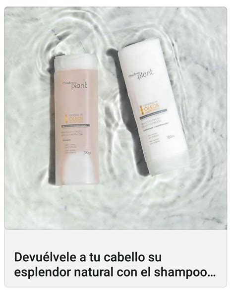 Descubrir 101 Imagen Shampoo Natura Plant Precio Abzlocal Mx