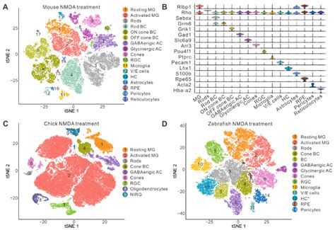 Comparative Transcriptomic And Epigenomic Analyses Of Muller Glia