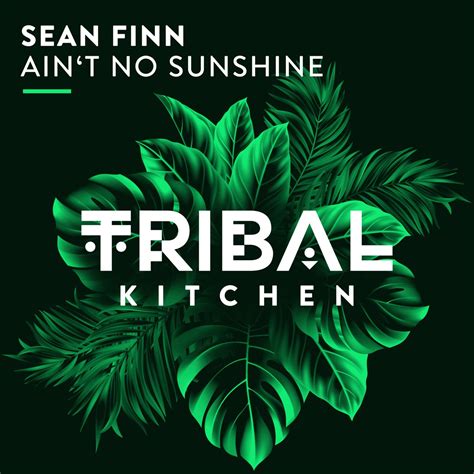 Ain T No Sunshine Single Von Sean Finn Bei Apple Music