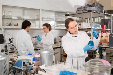 Young Female Lab Technician Working With Reagents In Test Tubes During