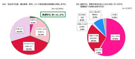 「夫は外で仕事、妻は家事・育児」に3割超が共感―日本財団、第1回1万人女性意識調査― 笹川陽平ブログ（日本財団会長）