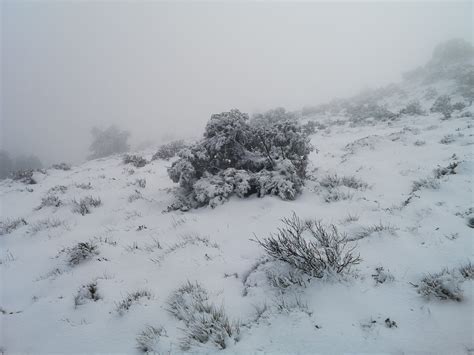 Climatología UA on Twitter RT MeteoXixona La nieve se sigue