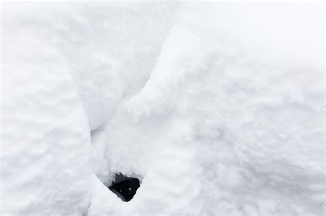 Buried: heavy snowfall continues in Niseko | Powderlife