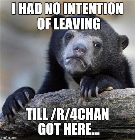 Confession Bear Meme Imgflip