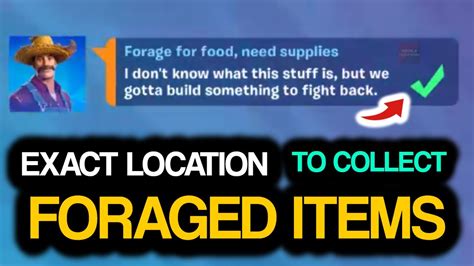 Collect Foraged Items All Foraged Items Locations In Fortnite Youtube