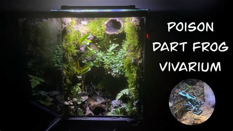 Poison Dart Frog Vivarium Build With Waterfall Mist And Fan Youtube