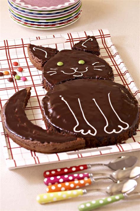 Gâteau d anniversaire chat au chocolat Recettes de cuisine Ôdélices