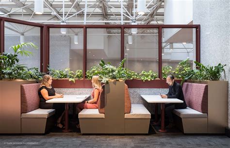 205Q Hive and Lobby Upgrade by Cachet Group | ArchiPro NZ