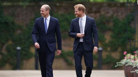 Los Pr Ncipes William Y Harry Dejan Atr S Sus Diferencias Para Develar