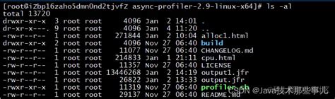 Async Profiler Rocketmq Async Profiler Csdn