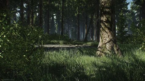 Escape From Tarkov Woods Key Locations | Gamer Journalist