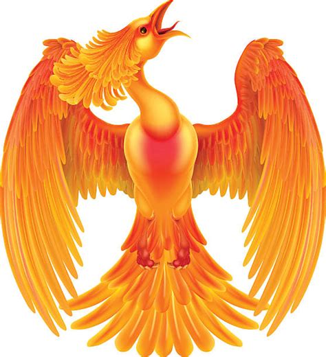 Best Phoenix Bird Rising Illustrations Royalty Free Vector Graphics