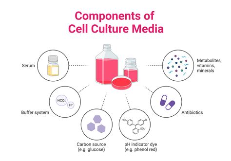 Components of Cell Culture Media | BioRender Science Templates