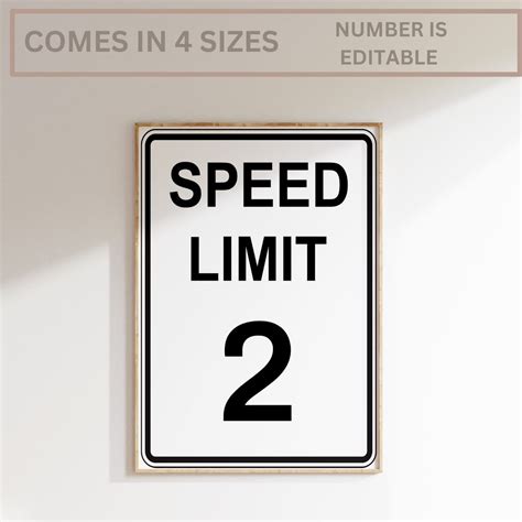 Speed Limit Birthday Age Sign Speed Limit Birthday Any Age Race Car