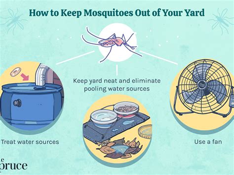 How To Kill Mosquitoes In Garden How To Get Rid Of Mosquitoes