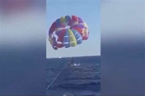 Video Ajkula Isko Ila Iz Vode I Zgrabila Oveka Na Paraglajderu