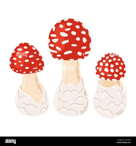 Fly Agaric Red Poison Mushrooms Hand Drawn Small Amanita Muscaria Hallucinogenic Psychedelic