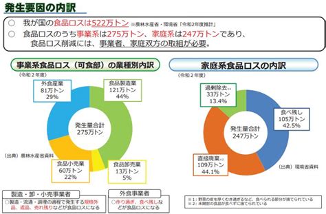 皮のむき過ぎなど「過剰除去」も食品ロスに／近江八幡市