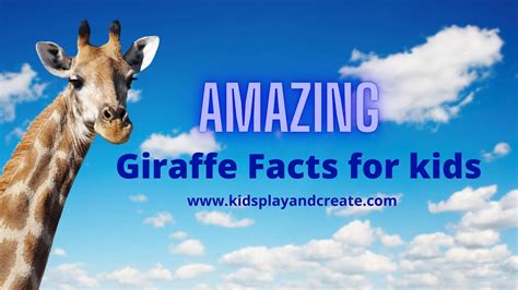 Amazing Giraffe Facts for Kids - Kids Play and Create