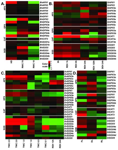 Expression Profiles Of Apx Gpx Cat And Sod Genes Upon Desiccation