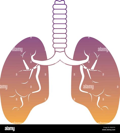 Human Lungs Icon Over White Background Vector Illustration Stock