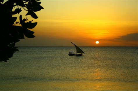 Zanzibar Bateau Naviguer Le Photo Gratuite Sur Pixabay Pixabay