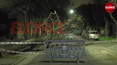 Un árbol de gran porte cayó sobre calle Rocamora a metros de Villaguay