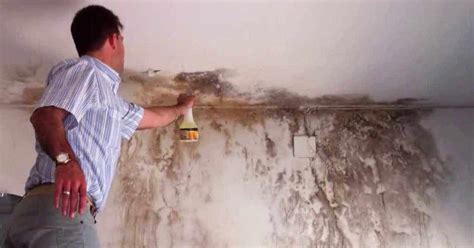 10 astuces pour enlever les taches dhumidité sur les murs peints