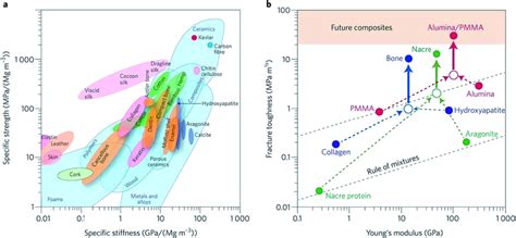 Functional composite bone tissue engineering scaffolds. (a) Effect of ...