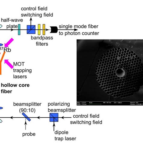(A) Schematics of the experimental setup. (B) Scanning electron ... 