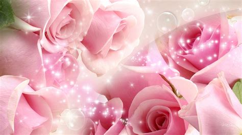 White and Pink Roses Wallpapers - Top Free White and Pink Roses Backgrounds - WallpaperAccess