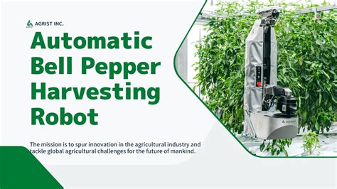 Automatic Green Bell Pepper Harvesting RobotLProduct Video YouTube