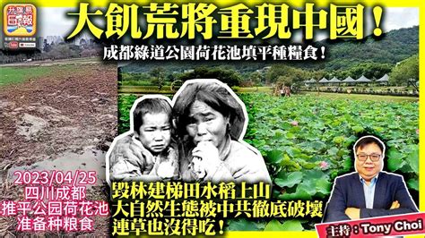 繁簡字幕 4 26【大飢荒將重現中國！】成都綠道公園荷花池填平種糧食！毀林建梯田水稻上山，大自然生態被中共徹底破壞，連草也沒得吃！ 主持 Tony Choi Youtube