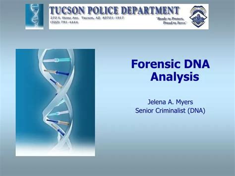 Ppt Forensic Dna Analysis Jelena A Myers Senior Criminalist Dna Powerpoint Presentation