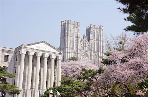 韓國賞櫻懶人包~韓國櫻花벚꽃開花預測日期及賞櫻路線、慶典介紹 首爾、釜山、濟州、韓國中南部 說走就走！v歐妮旅行攝