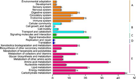 Kegg Orthology Ko Classifications Of Up Regulated Differentially