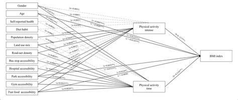 Physical Activity Mediation Model Controlled For Sex Age Download Scientific Diagram