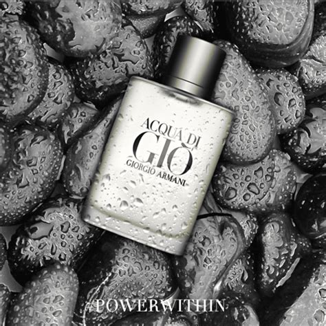 Perfume Masculino Giorgio Armani Acqua Di Gio Eau De Toilette 3360372058878