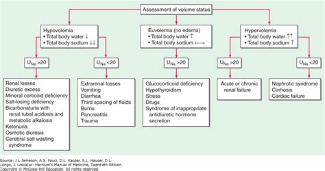 Hyponatremia Assessment