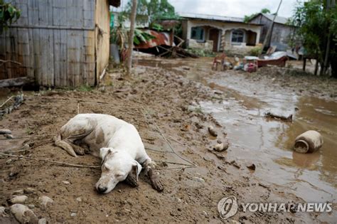 북부 물폭탄·남부 최악 가뭄극단 달리는 남미 이상기후 연합뉴스