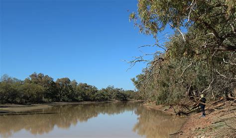 King Charlie Waterhole Picnic Area Nsw National Parks