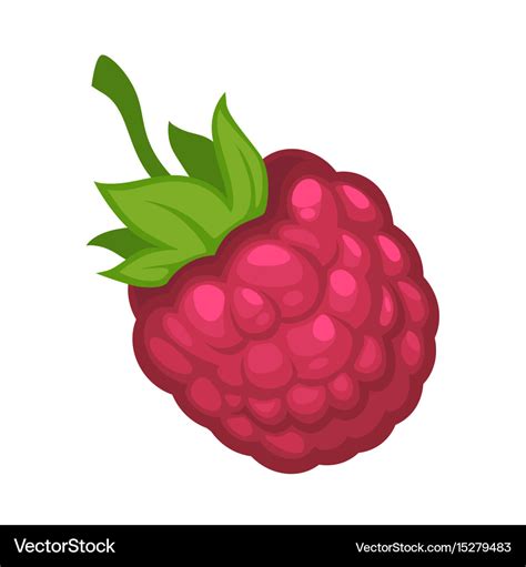 Cartoon Raspberry