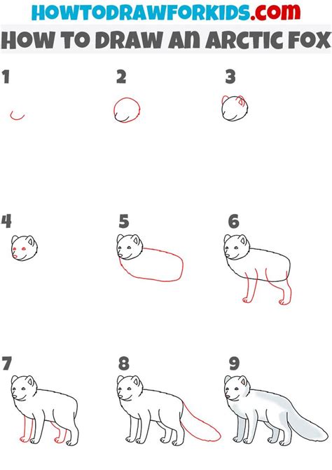 How to Draw an Arctic Fox - Easy Drawing Tutorial For Kids | Fox ...